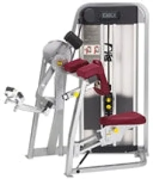 Cybex Eagle Arm Curl 11070