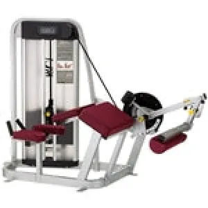 Cybex Eagle Prone Leg Curl 11141