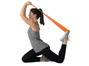 GoZone 3 Pack Flat Resistance Band <BR> GZE2060