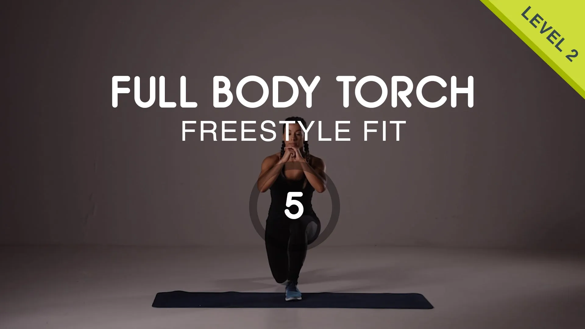 Lower Body Strength & Easy on Shoulders Upper Body