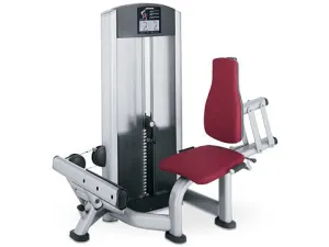 Refurbished Life Fitness Signature Calf Extension