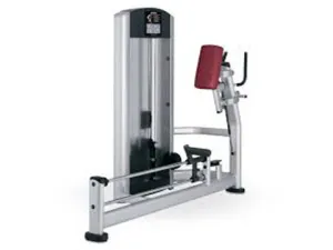 Refurbished Life Fitness Signature Glute