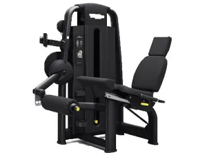 Refurbished Technogym Selection Leg Extension